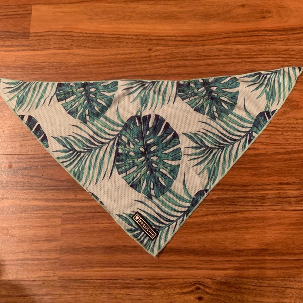 Cooling Bandanas